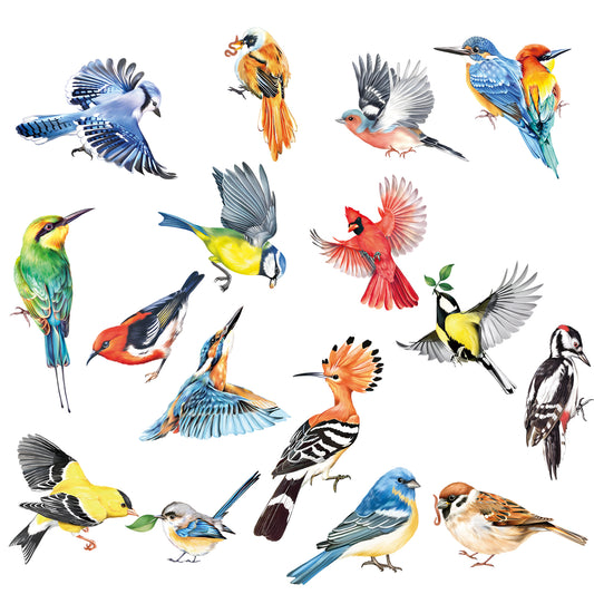 decalmile Spring Summer Birds Double Sided Window Clings Hummingbird Parrot Anti-Collision Window Decals